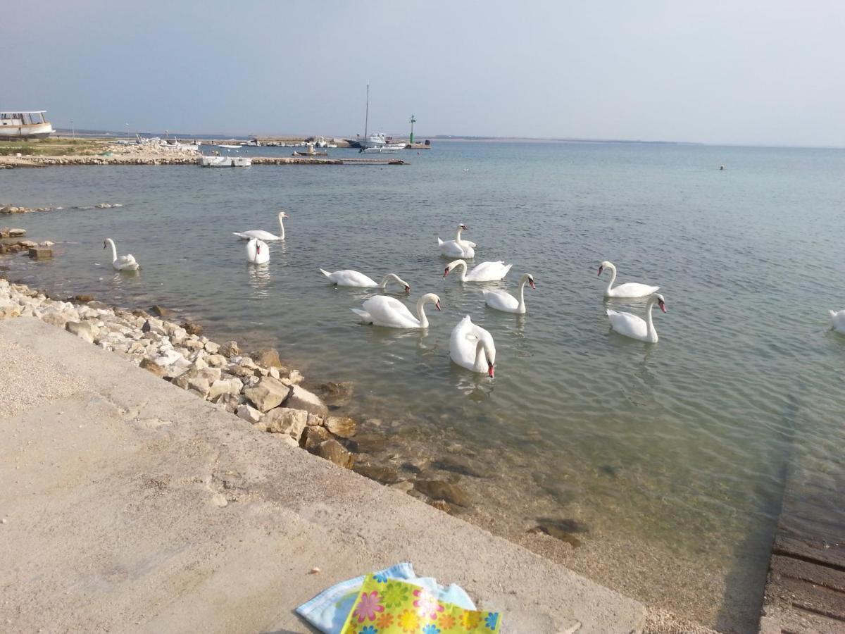 New Kosljun Apartment Short Walk To Beach Экстерьер фото